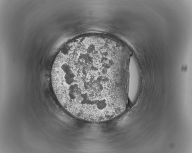 X0000091551355200709141507