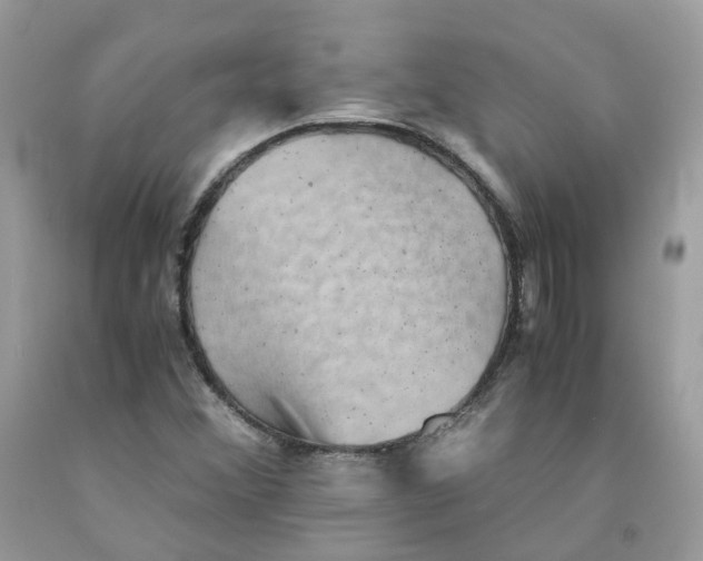 X0000091551356200709141507