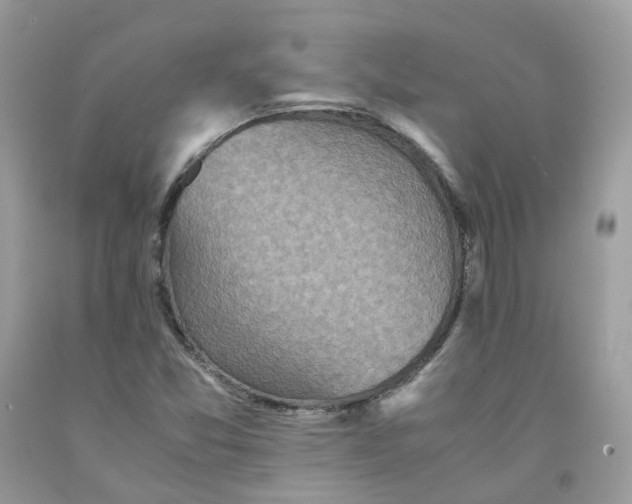 X0000091551357200709141507