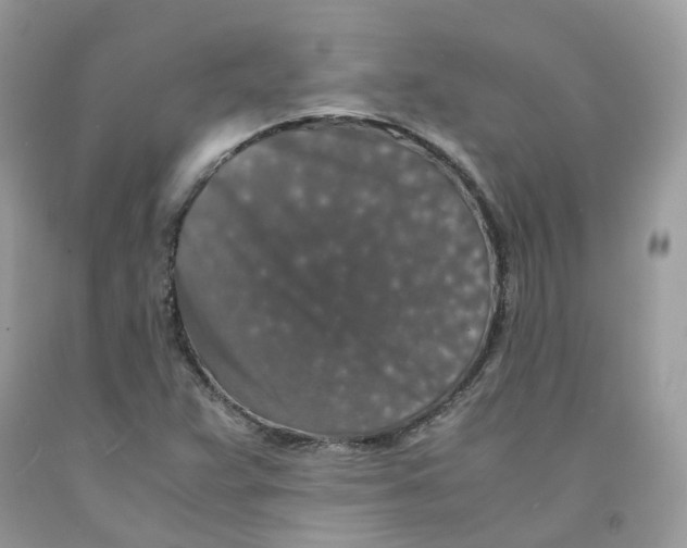 X0000091551359200709141507