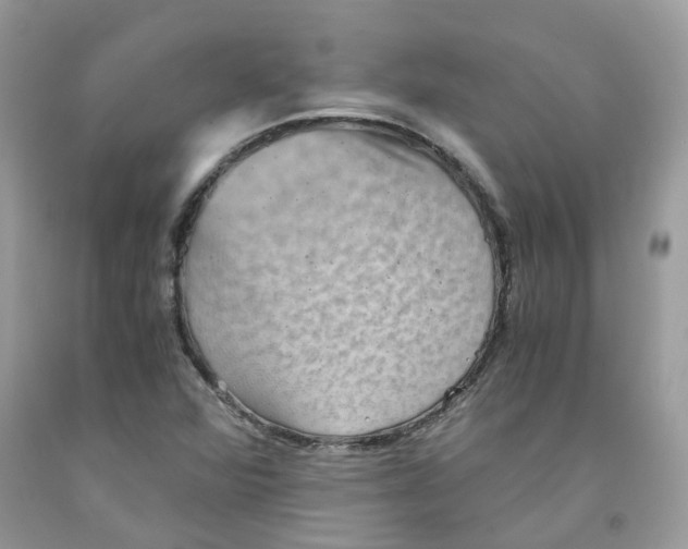 X0000091551360200709141507