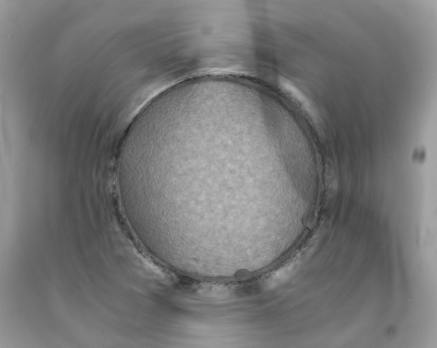 X0000091551361200709141507