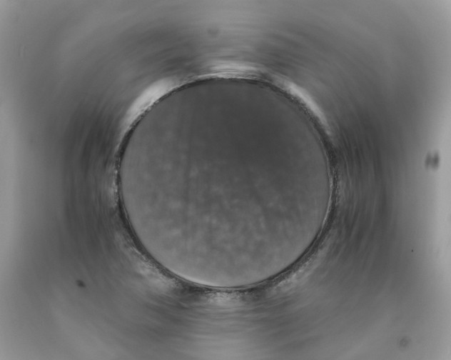 X0000091551362200709141507