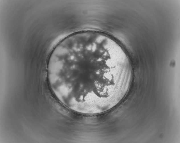 X0000091551363200709141507