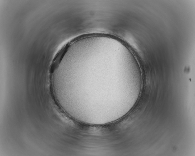 X0000091551364200709141507