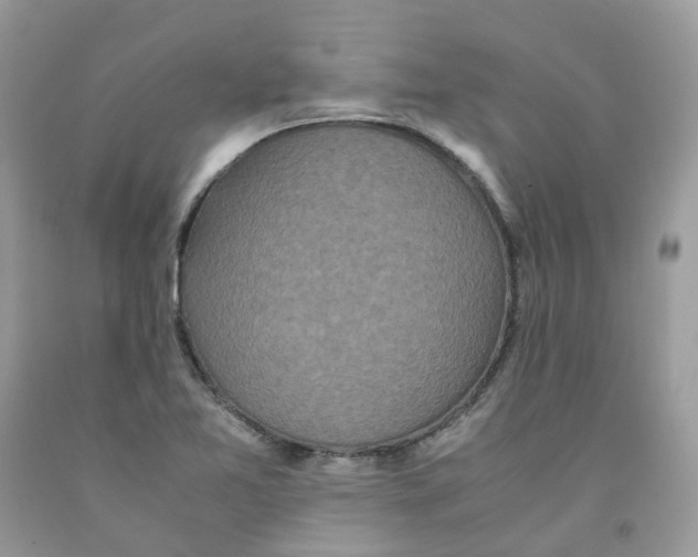 X0000091551365200709141507