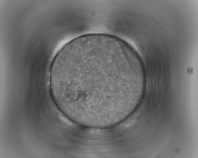 X0000091551366200709141507