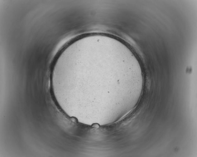 X0000091551368200709141507