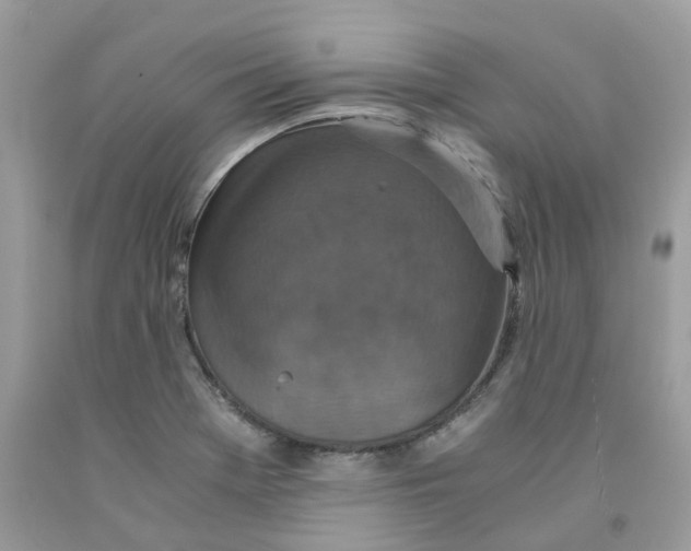 X0000091551369200709141507