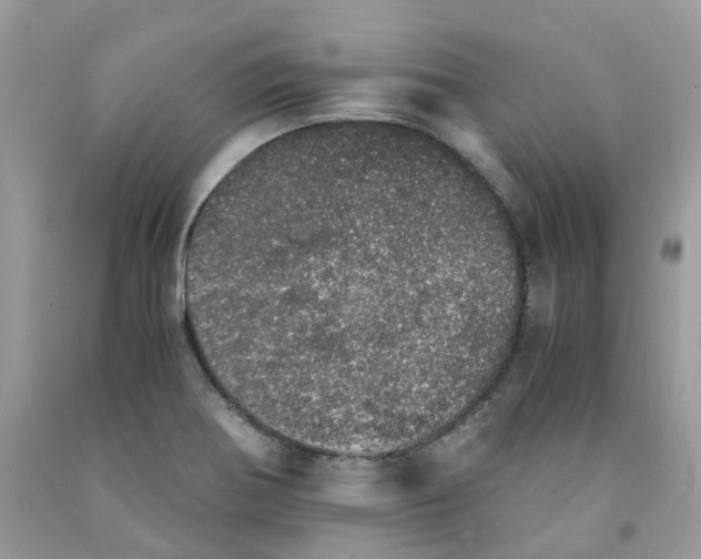 X0000091551370200709141507