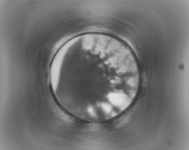 X0000091551371200709141507