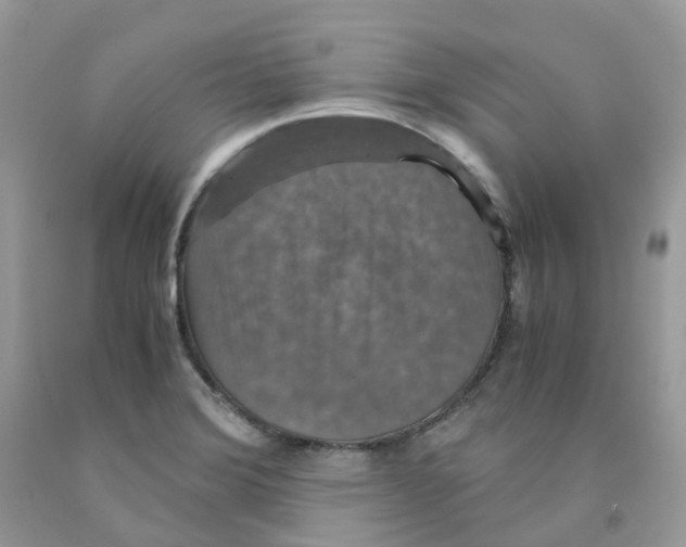 X0000091551372200709141507