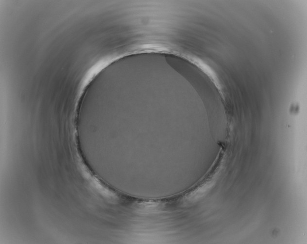 X0000091551373200709141507