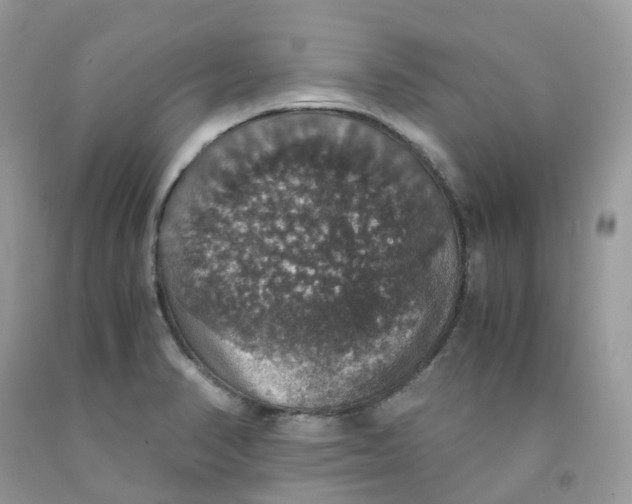 X0000091551374200709141507