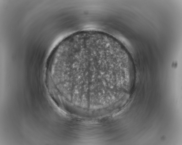 X0000091551376200709141507