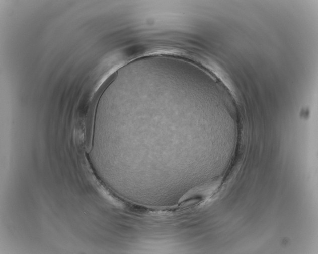 X0000091551377200709141507