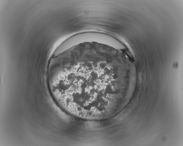 X0000091551379200709141507