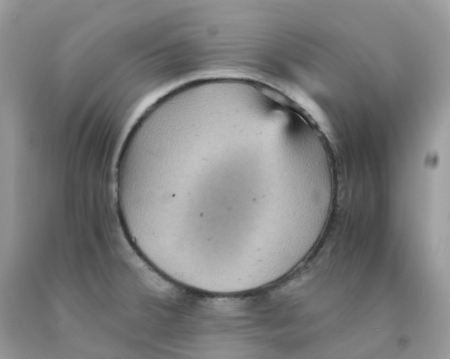 X0000091551380200709141507