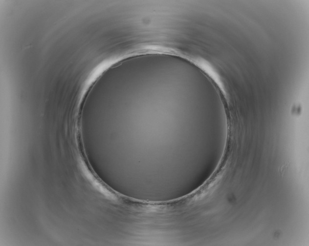 X0000091551381200709141507