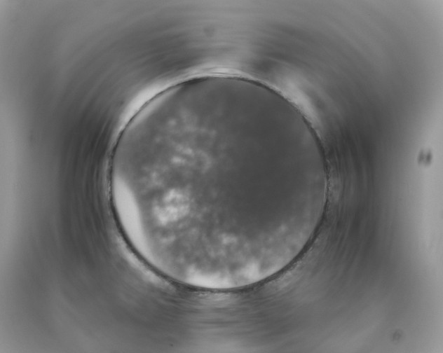 X0000091551382200709141507