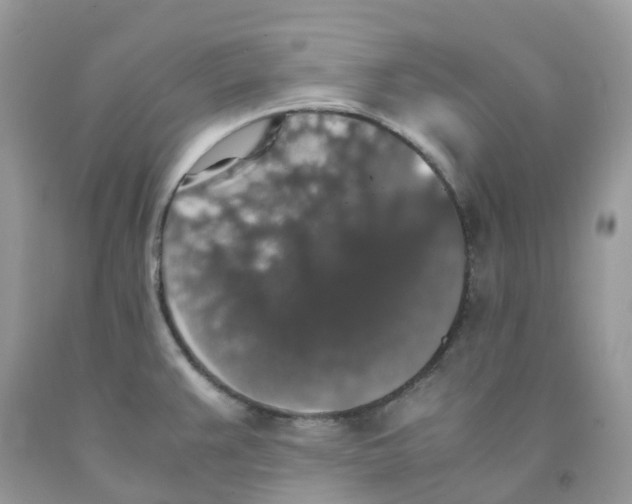 X0000091551383200709141507