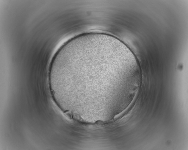 X0000091551384200709141507