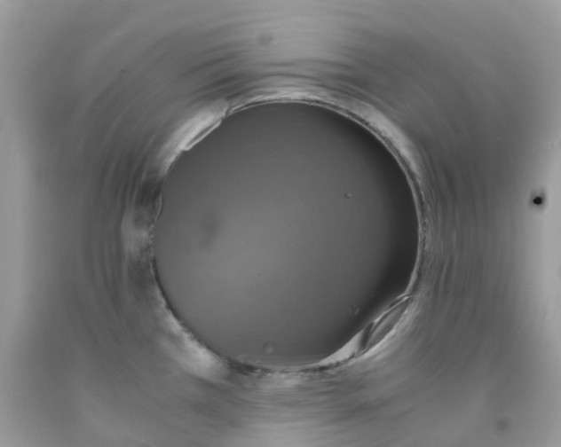 X0000091551385200709141507