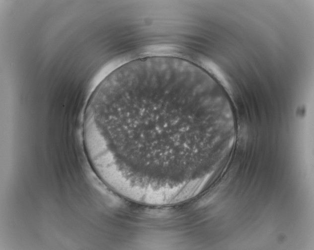 X0000091551386200709141507