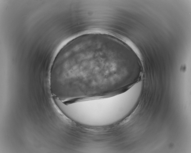 X0000091551388200709141507