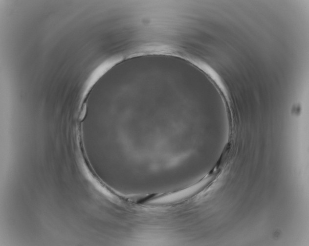 X0000091551389200709141507