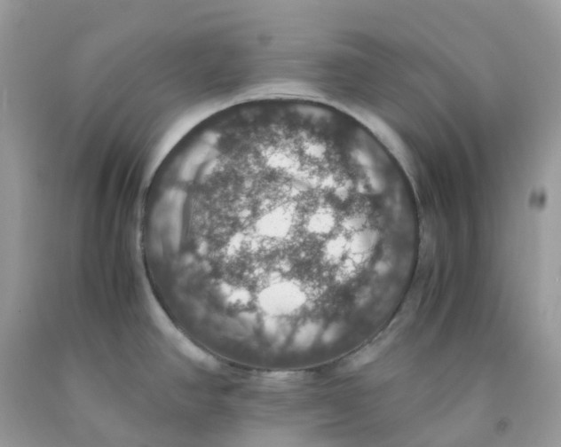 X0000091551390200709141507