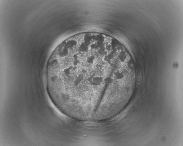 X0000091551391200709141507