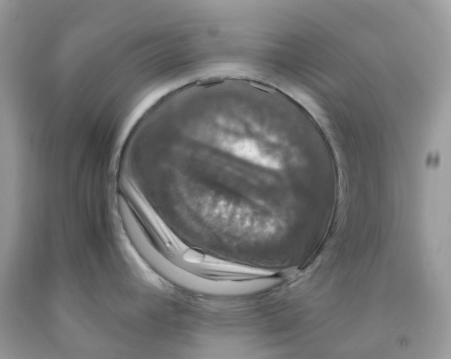 X0000091551392200709141507