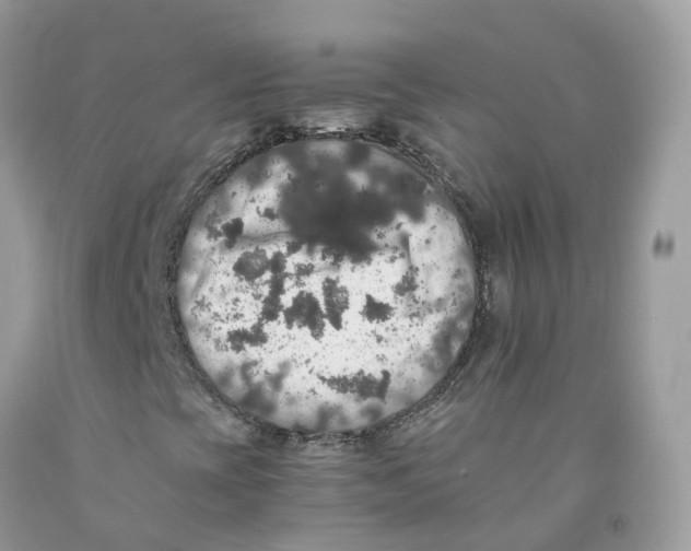 X0000091551393200709141506