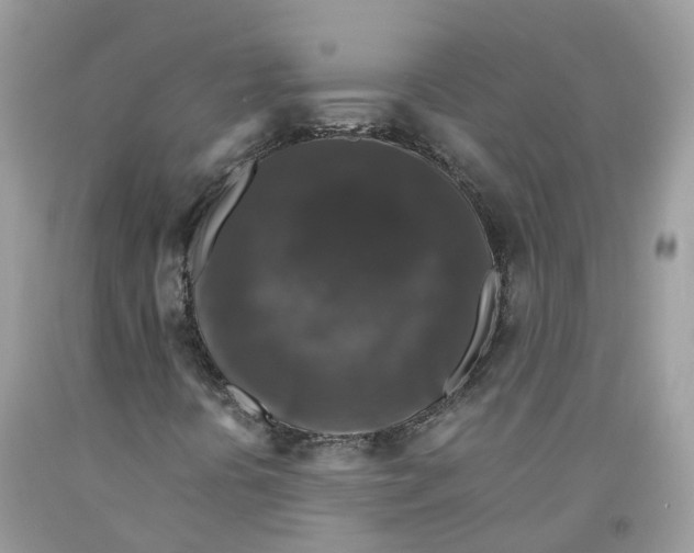 X0000091551394200709141506