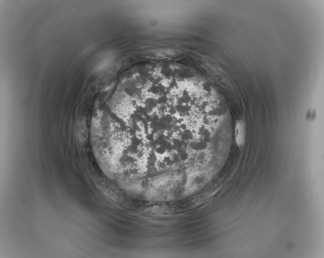 X0000091551395200709141506