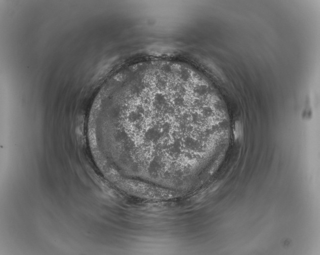 X0000091551396200709141506