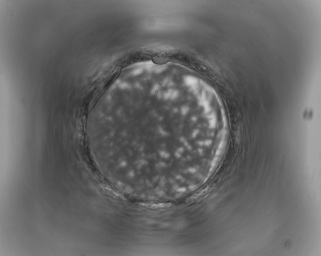 X0000091551397200709141506