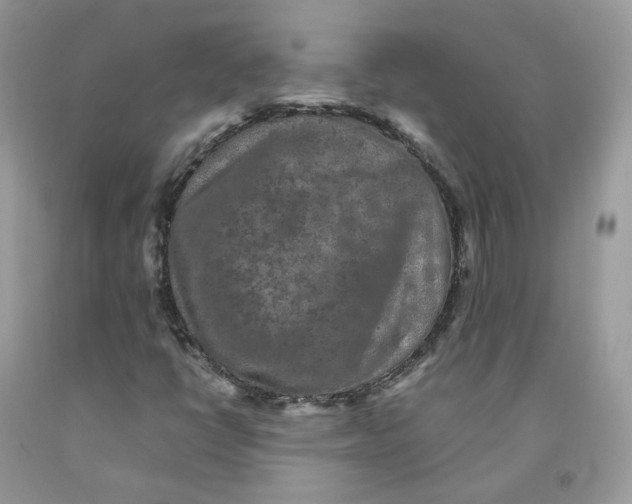 X0000091551398200709141506