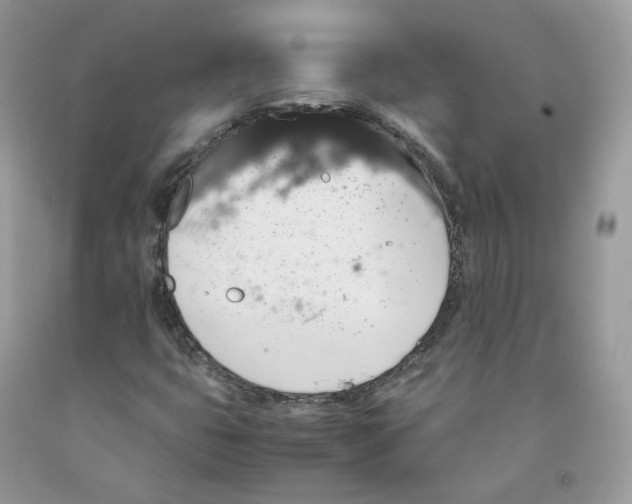 X0000091551399200709141506