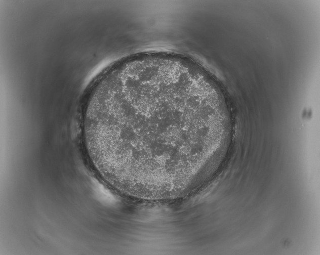 X0000091551400200709141506