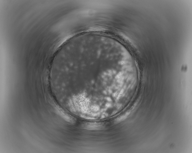 X0000091551401200709141506