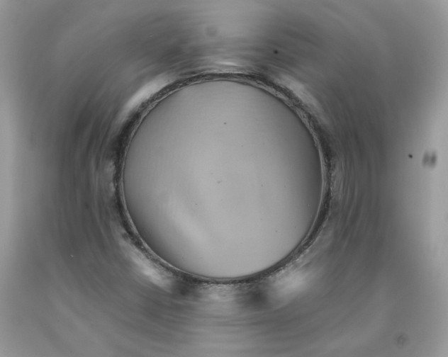 X0000091551402200709141506