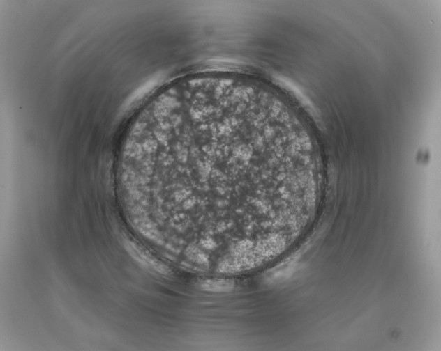 X0000091551403200709141506