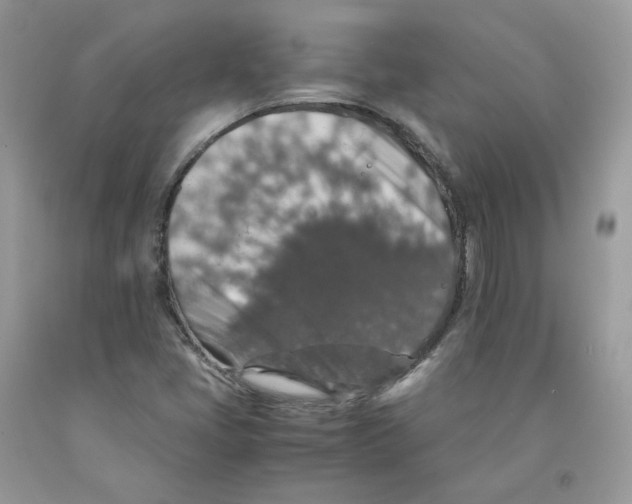 X0000091551405200709141506