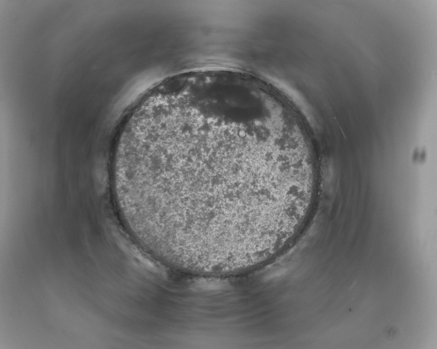 X0000091551407200709141507