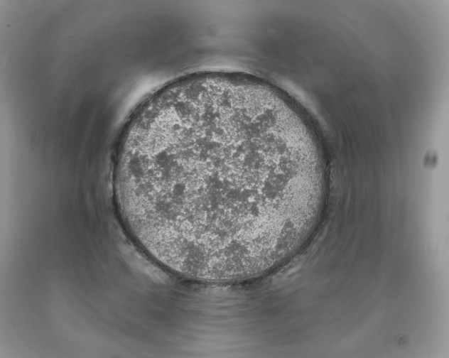 X0000091551408200709141507