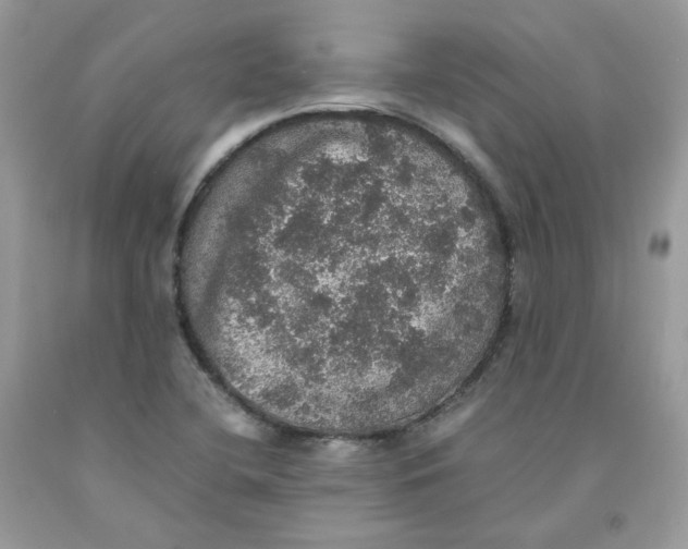 X0000091551412200709141507