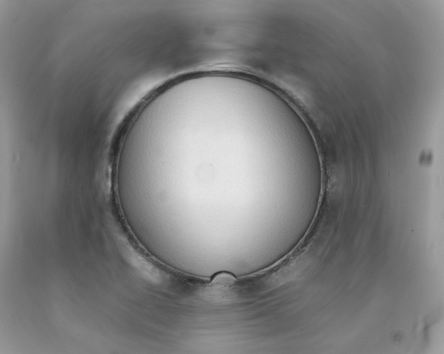 X0000091551414200709141507