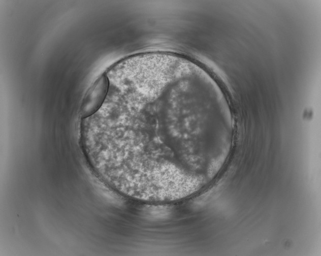 X0000091551415200709141507